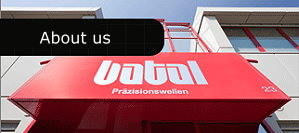 Batal - Przisionswellen - About us